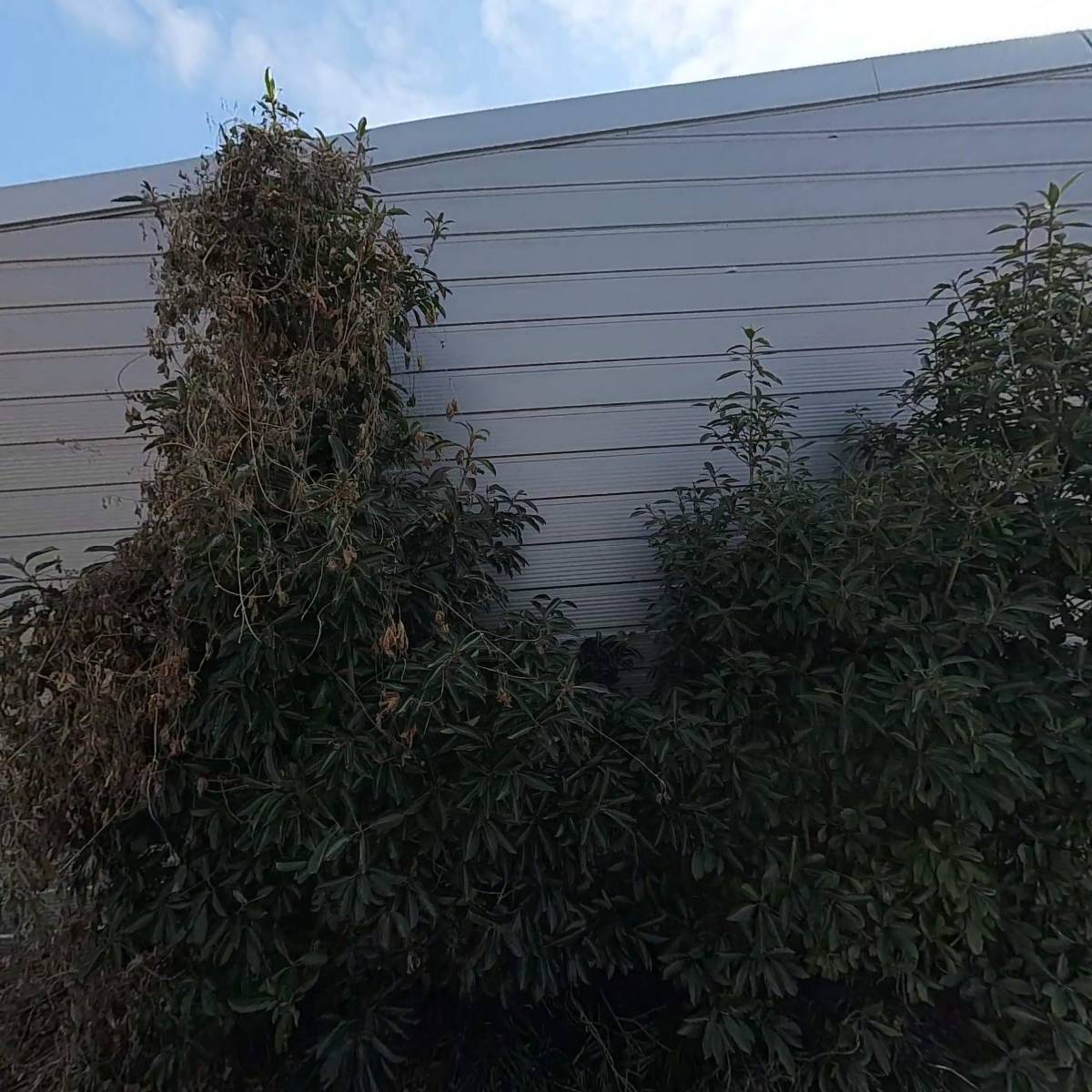 진해주간보호센터