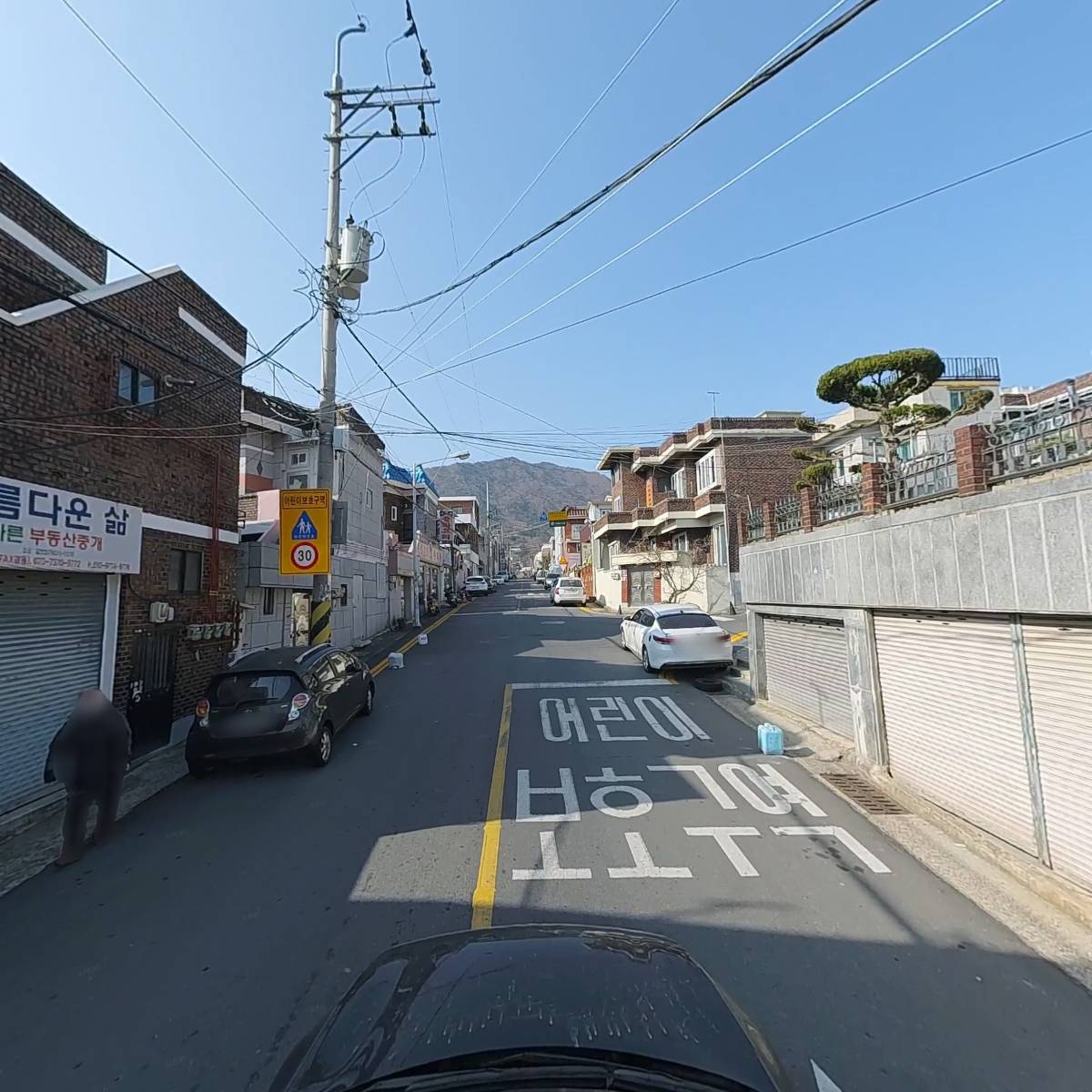 비둘기익스프레스_4