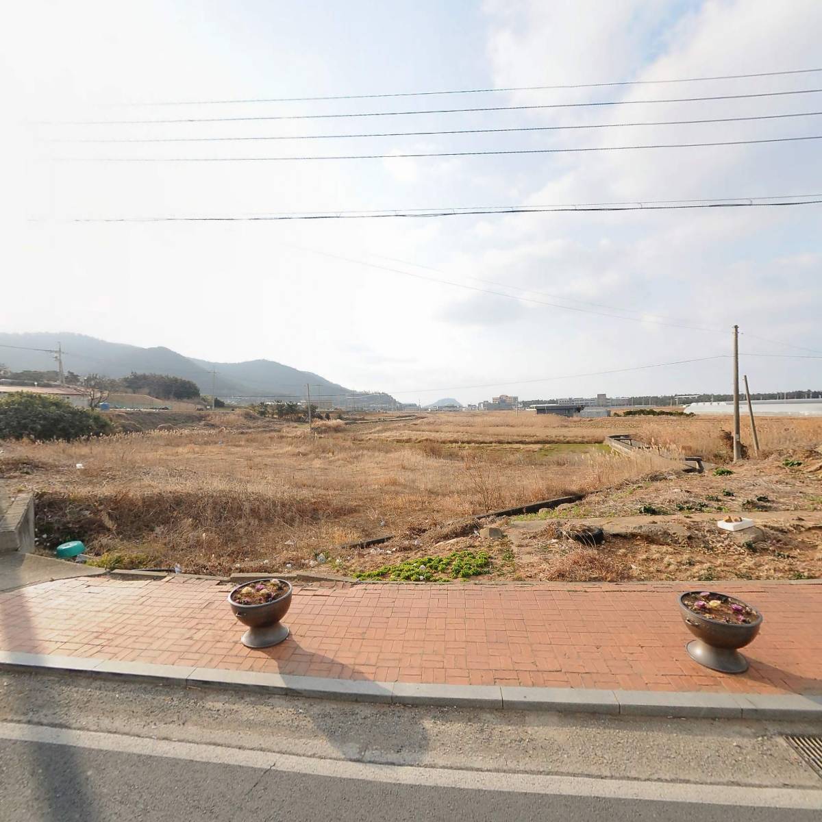 완도금일수산업협동조합신지지점