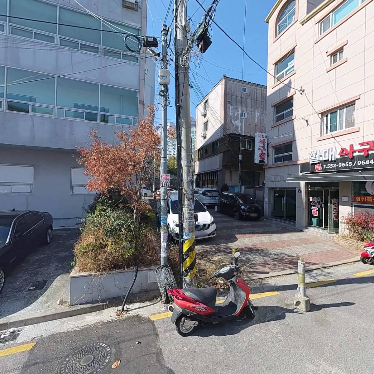 네발두발