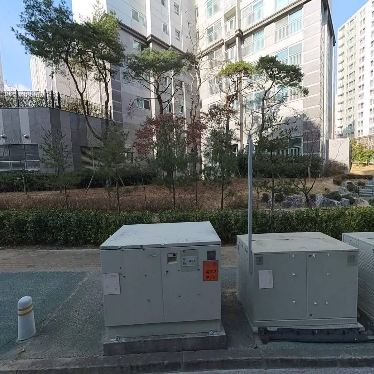 동전목재