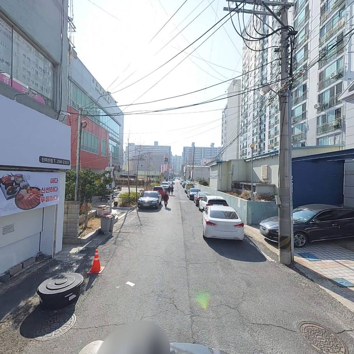 금향_2