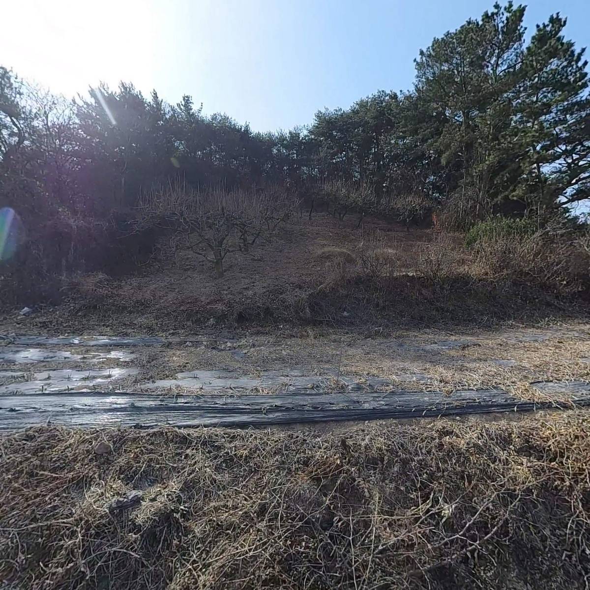 대동종합푸드
