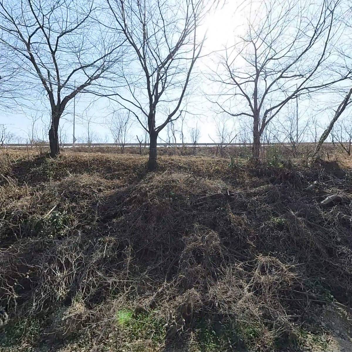 신항만개발(주)