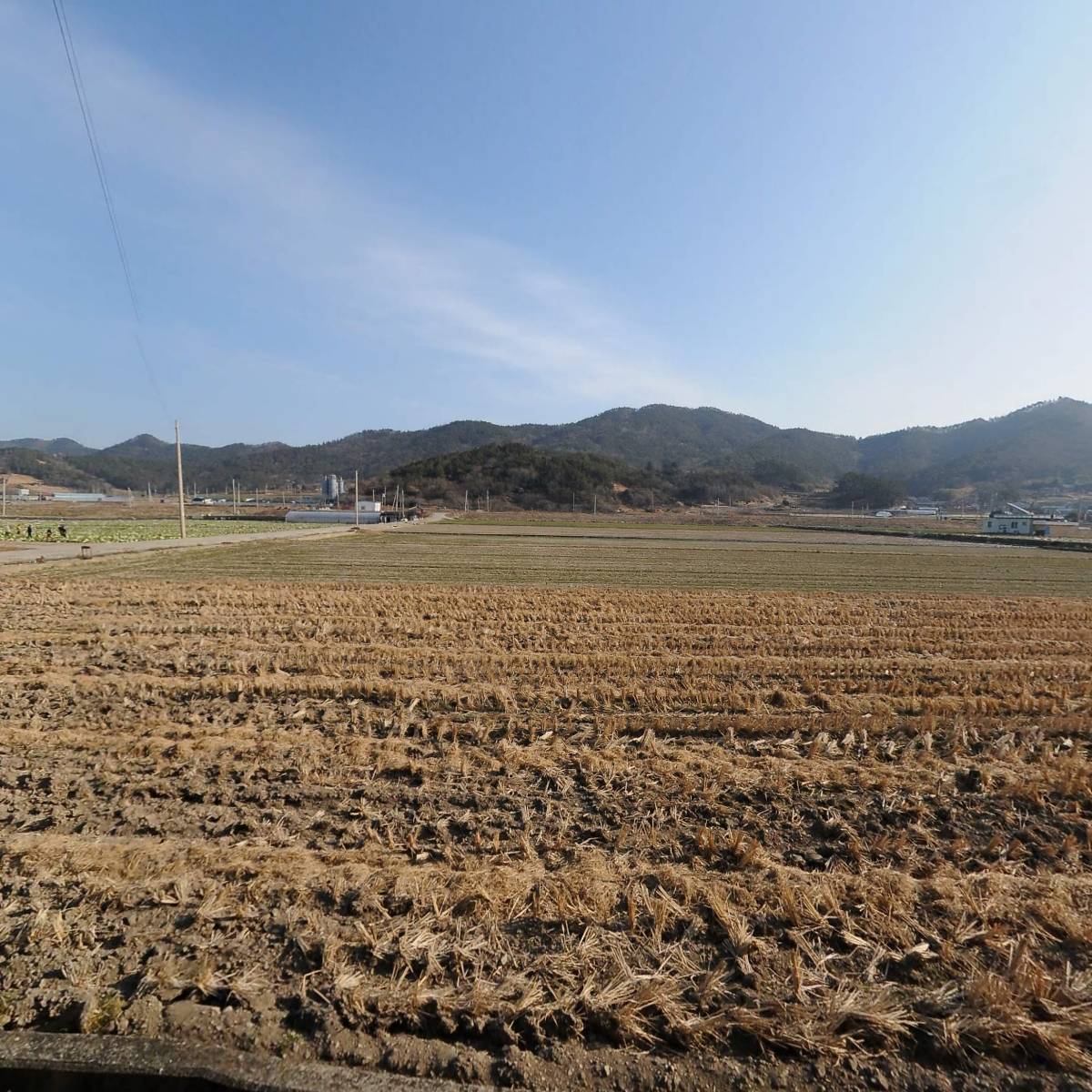 농업회사법인(주)시에스피