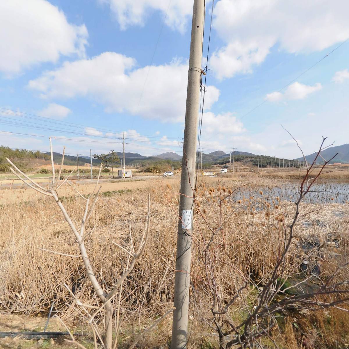 고향시래기영농조합