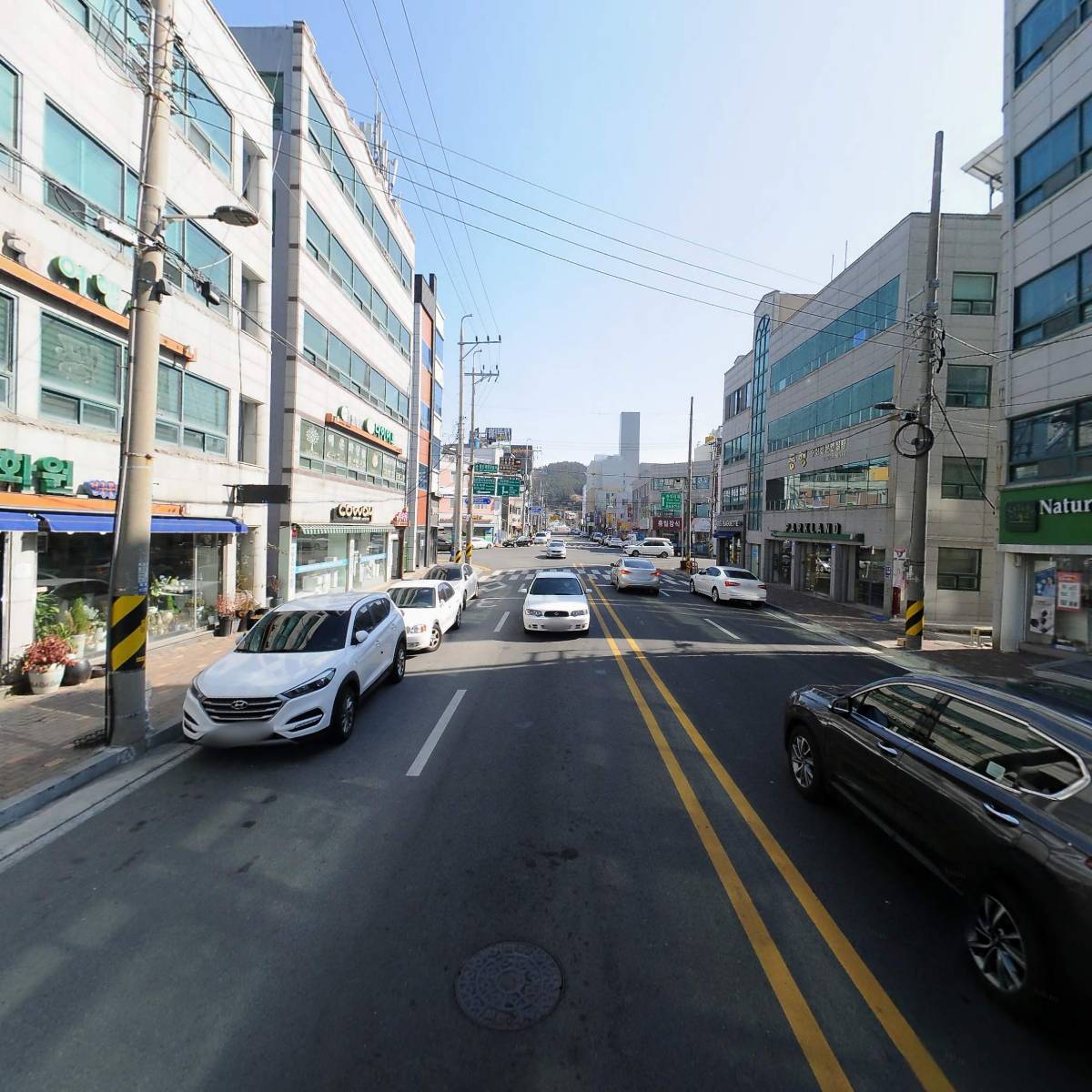 대영동물병원_2