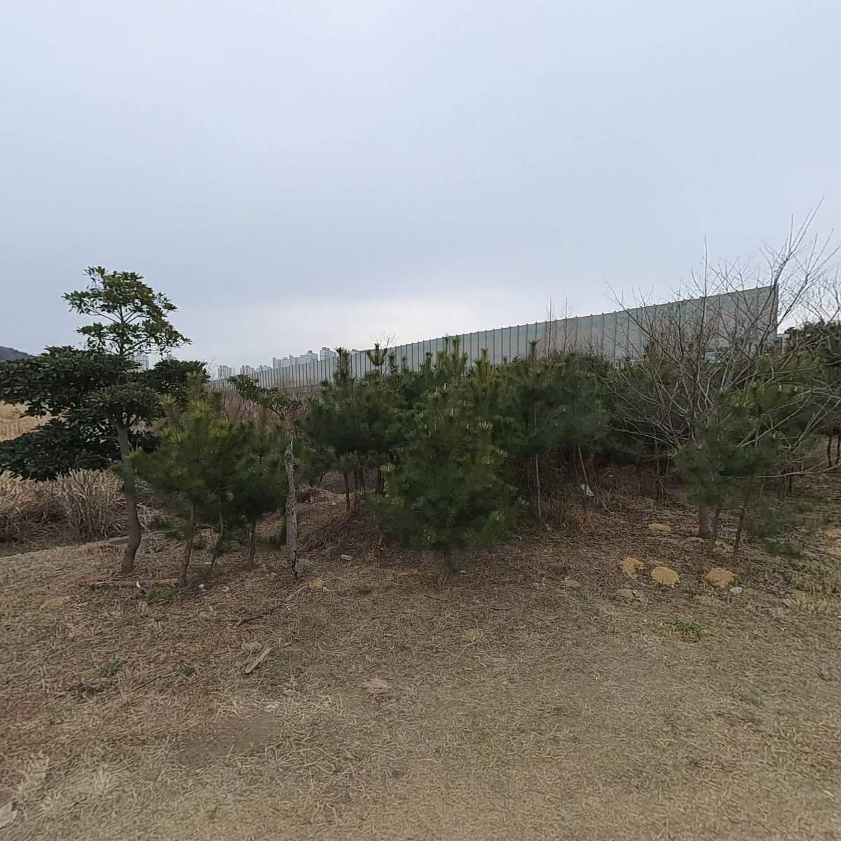 (유한)진해택시_3