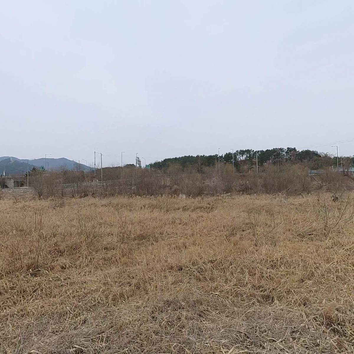 주식회사 한중약품