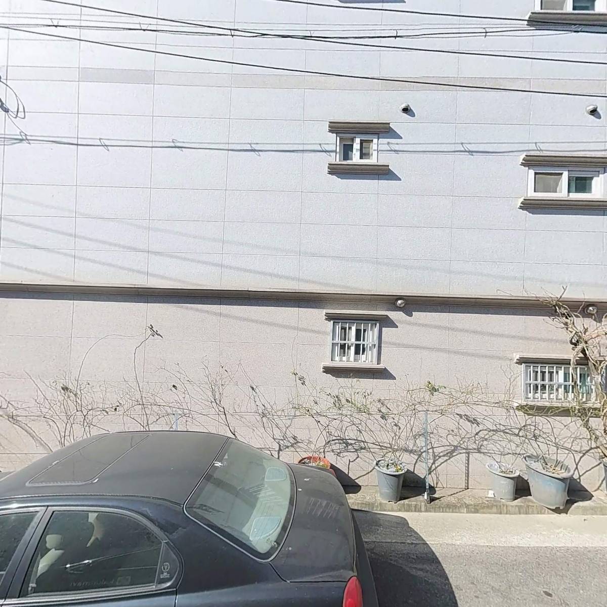 겐지(genji)