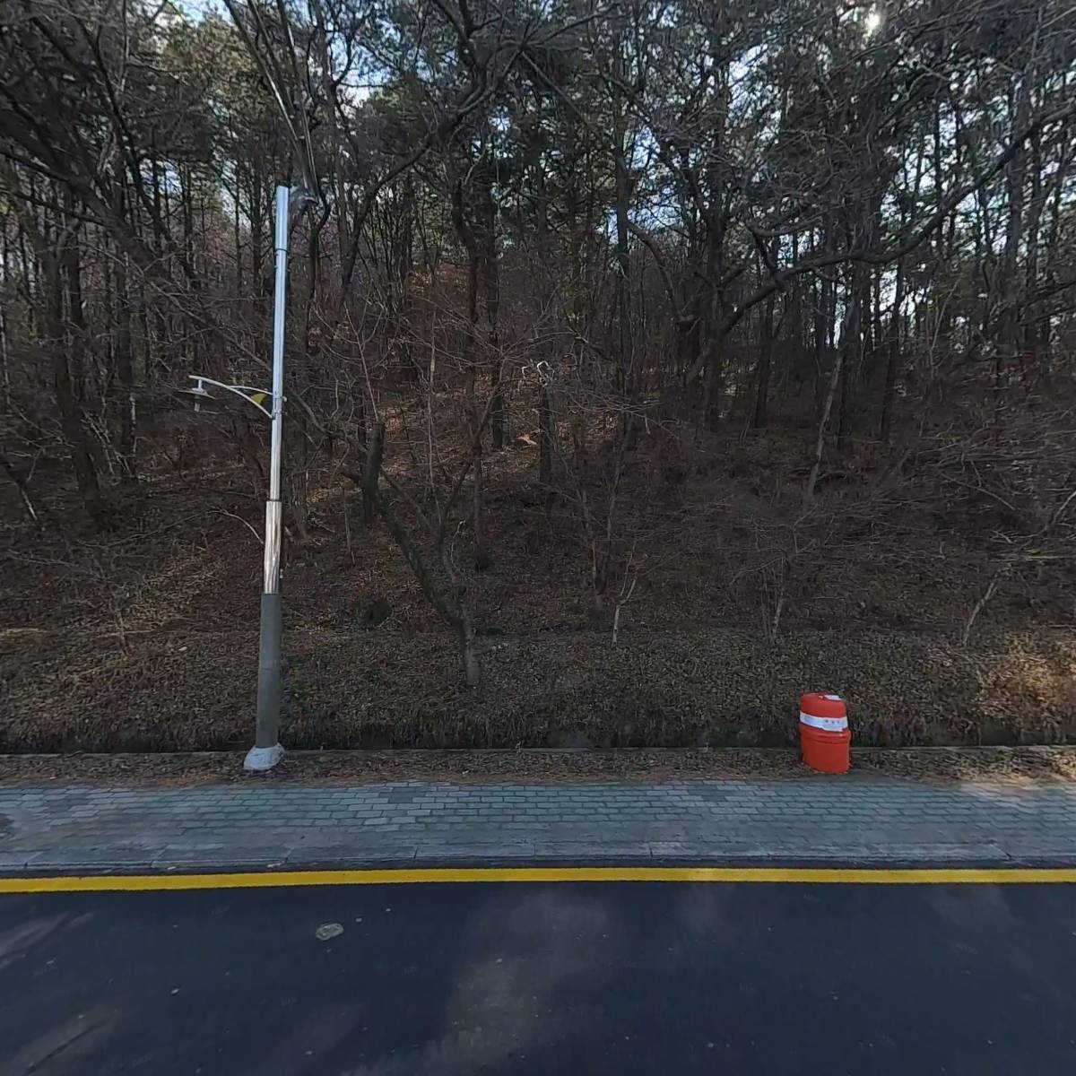 문화실험실,대청계곡길22_3