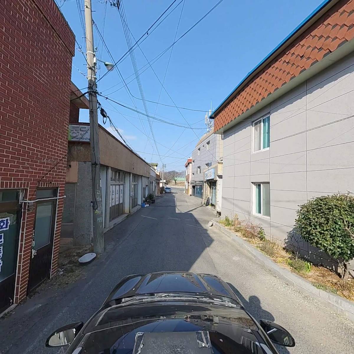 돼지와분식이만났네_4