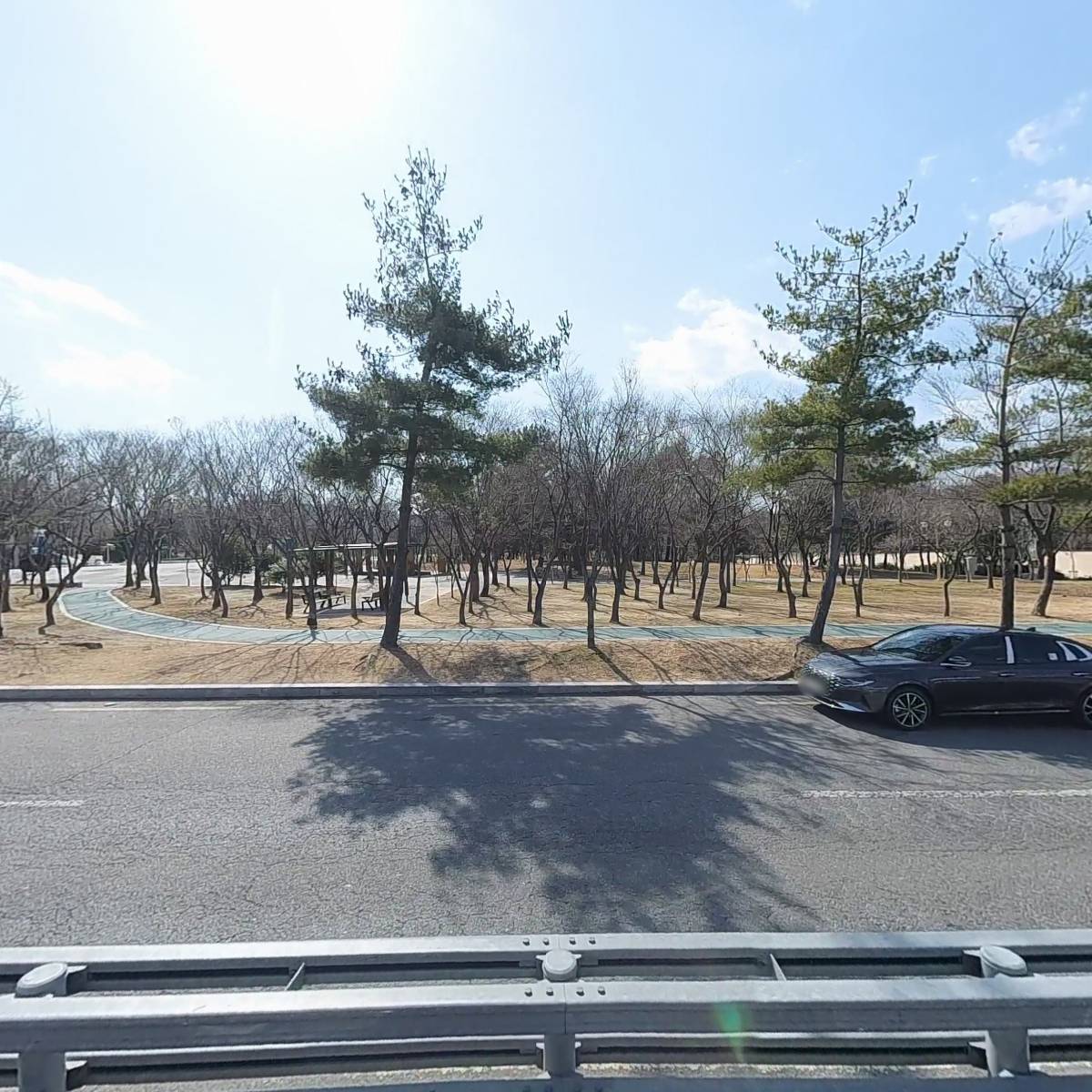 오토칼라_3