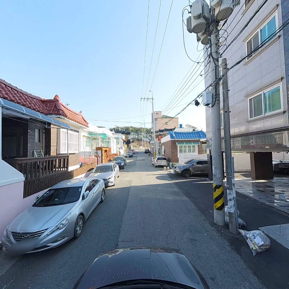 로이오토_4