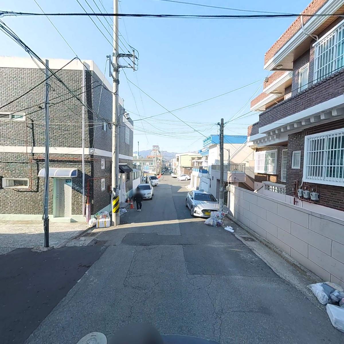 로이오토_2