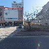 베쉬컨설팅