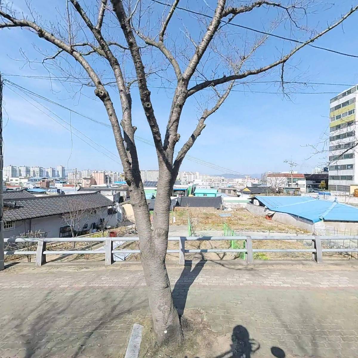 한국 TGS