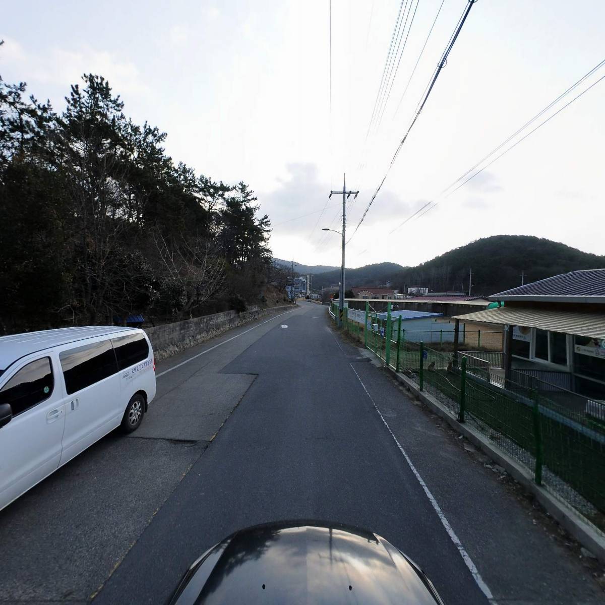 한국진도개보존연합회_4