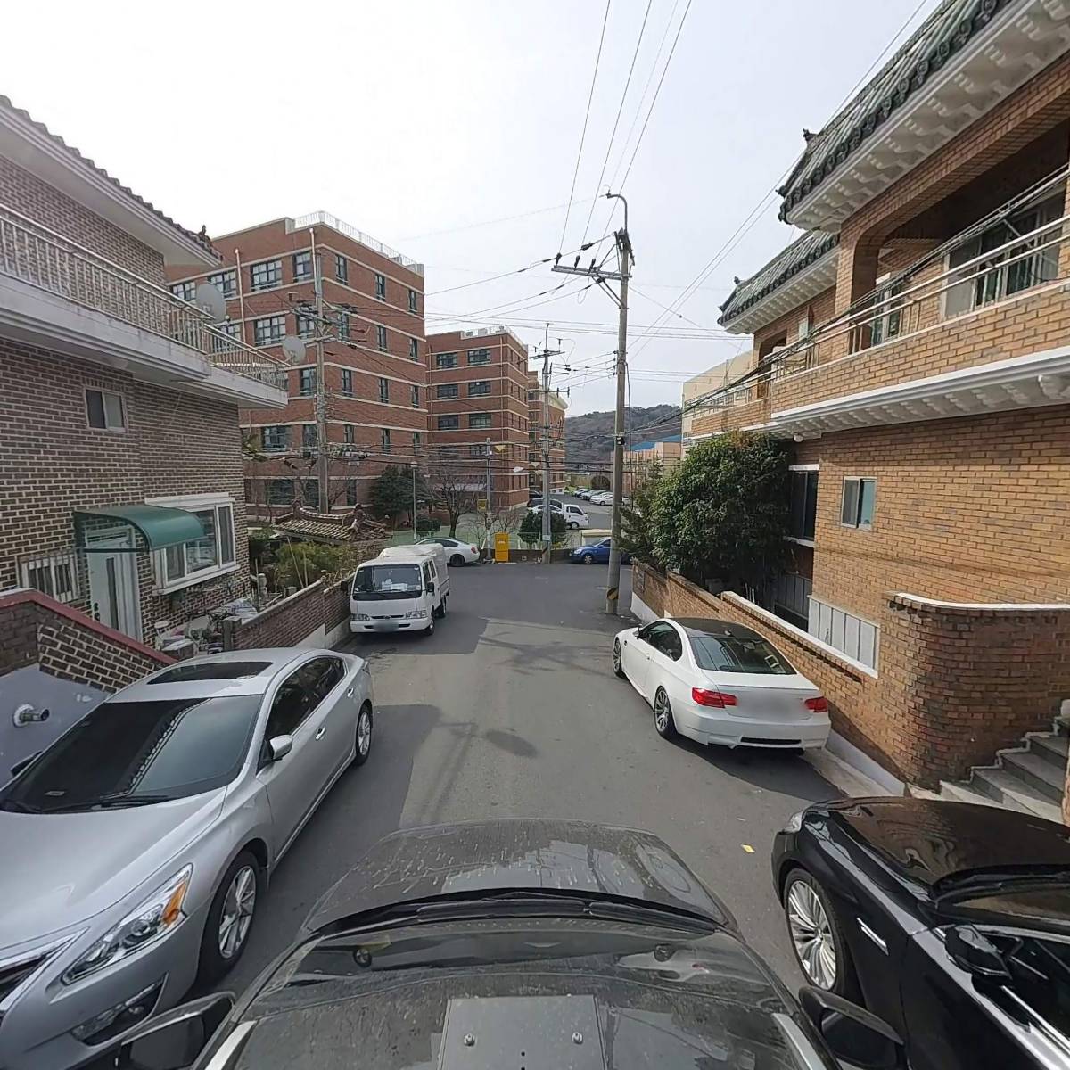 디지우드_4