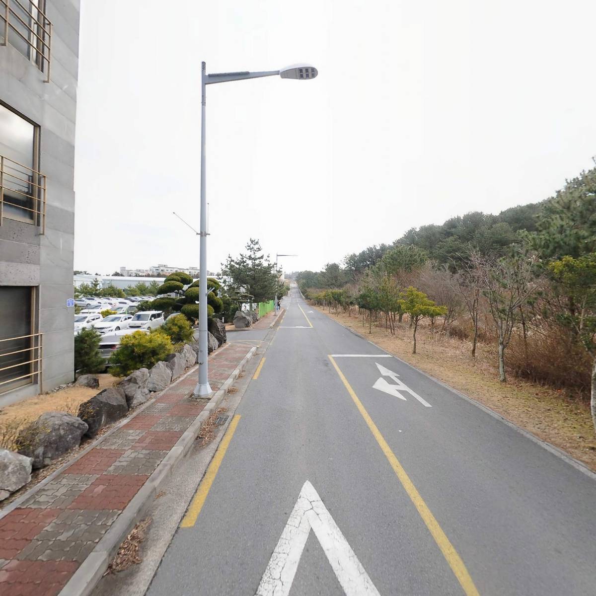 농업회사법인 주식회사 칸나비스_2