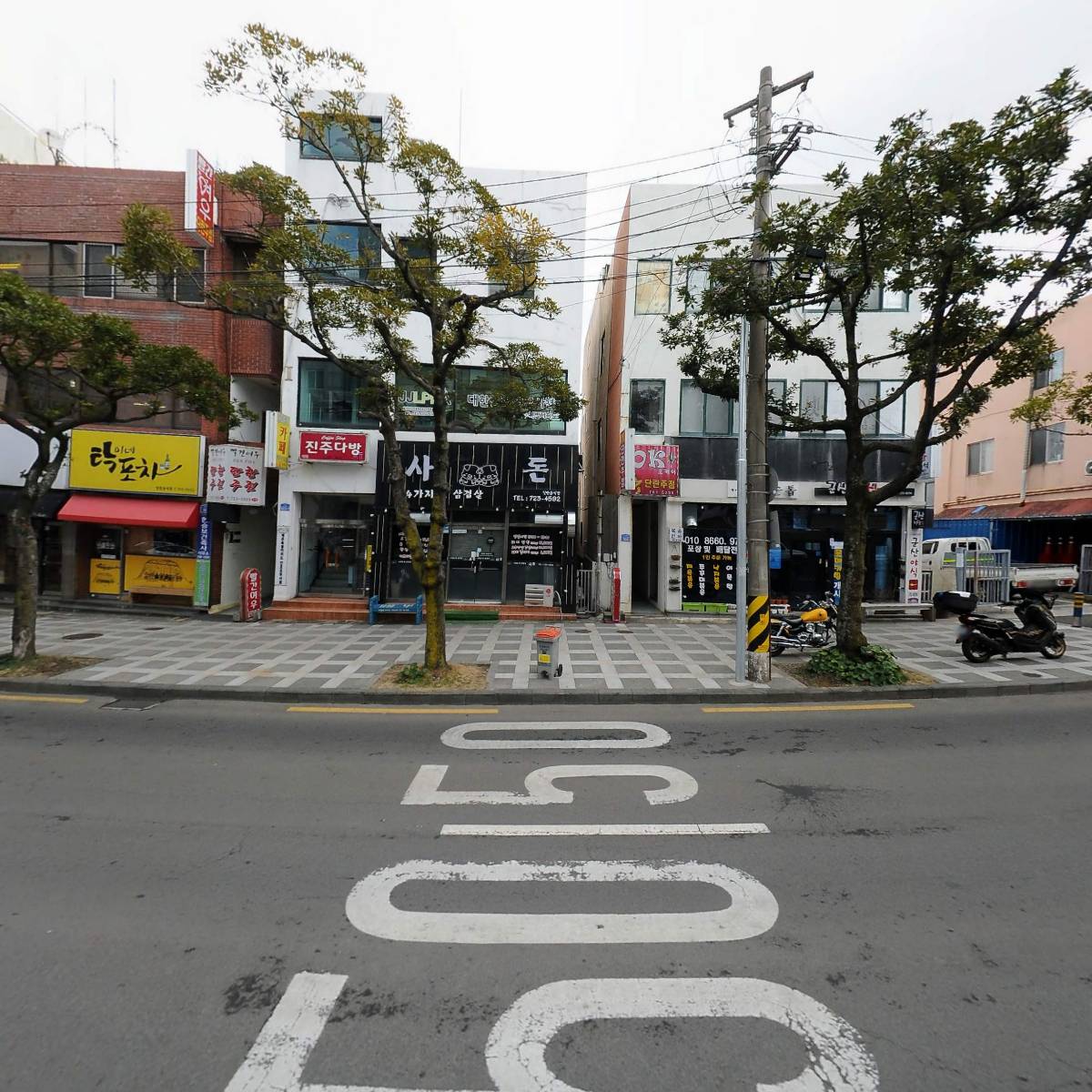 제주한라봉투어_3