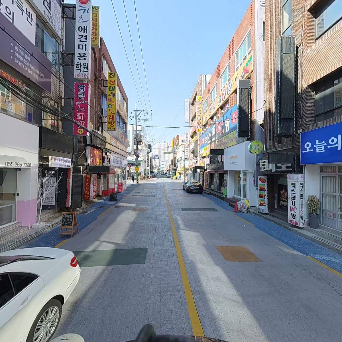 도그아트_2