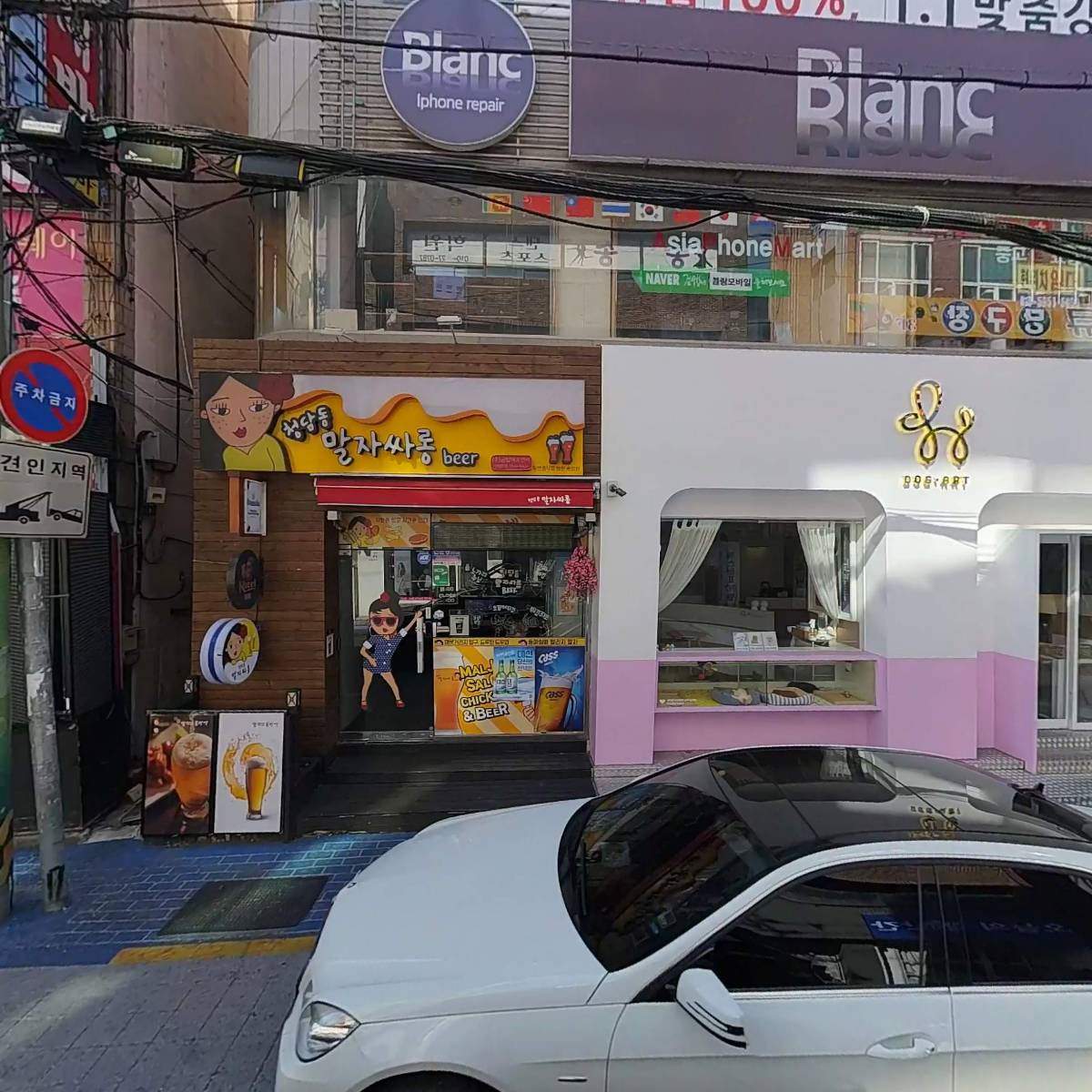 도그아트