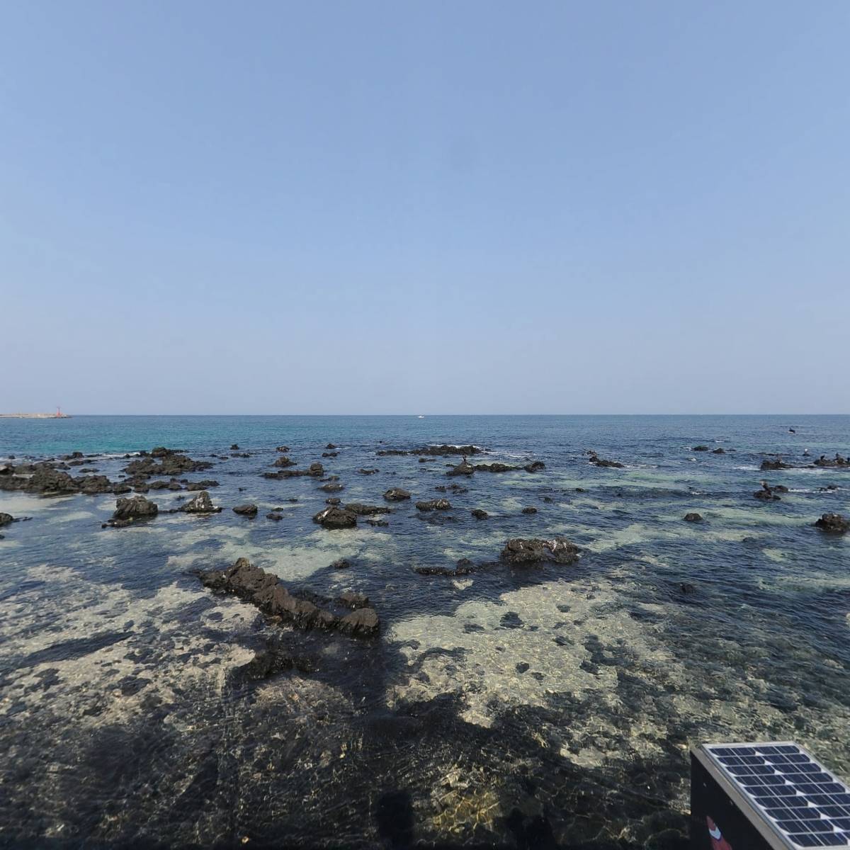 삼성호어부횟집_3