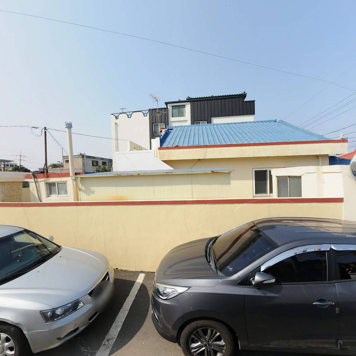 제주사랑 숲 해설가협회_3