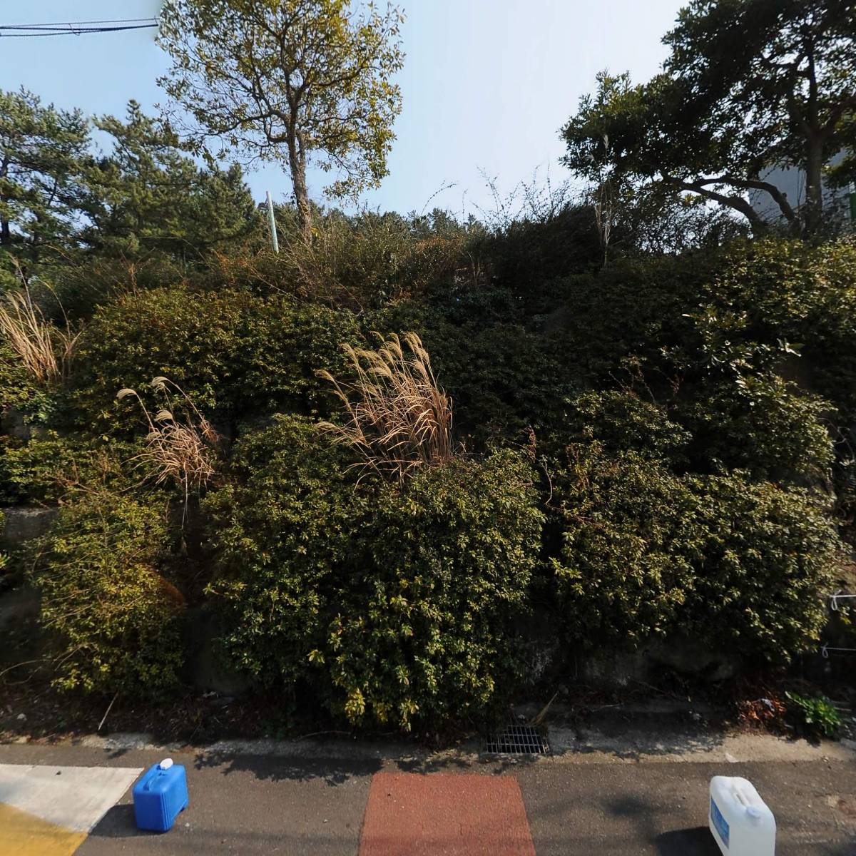 파인슐레북스