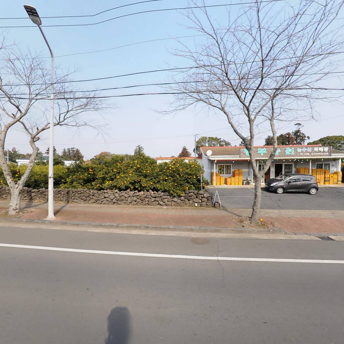 야자파크