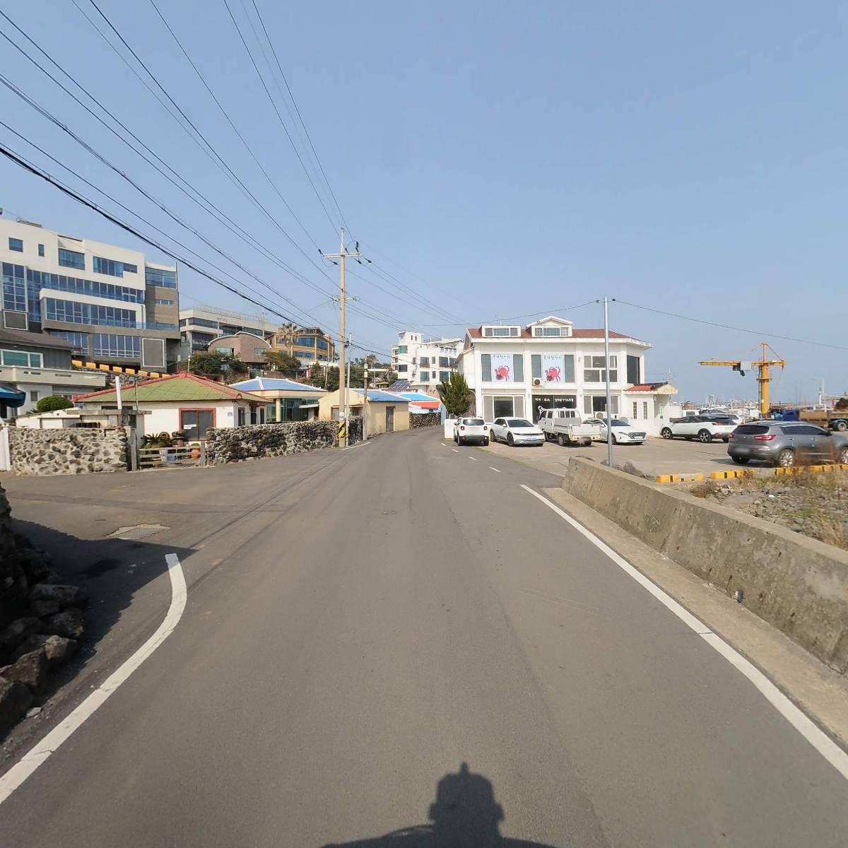 마리아와송농장_2