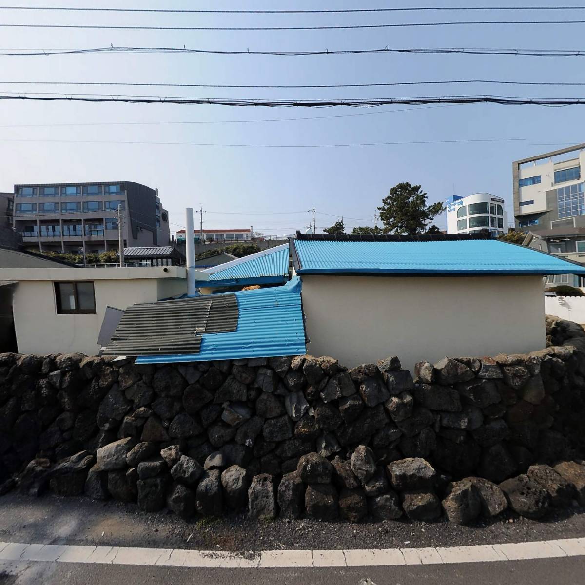 마리아와송농장