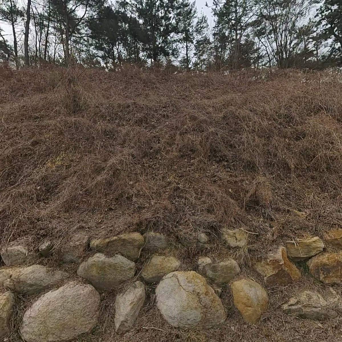 주식회사 경성테크