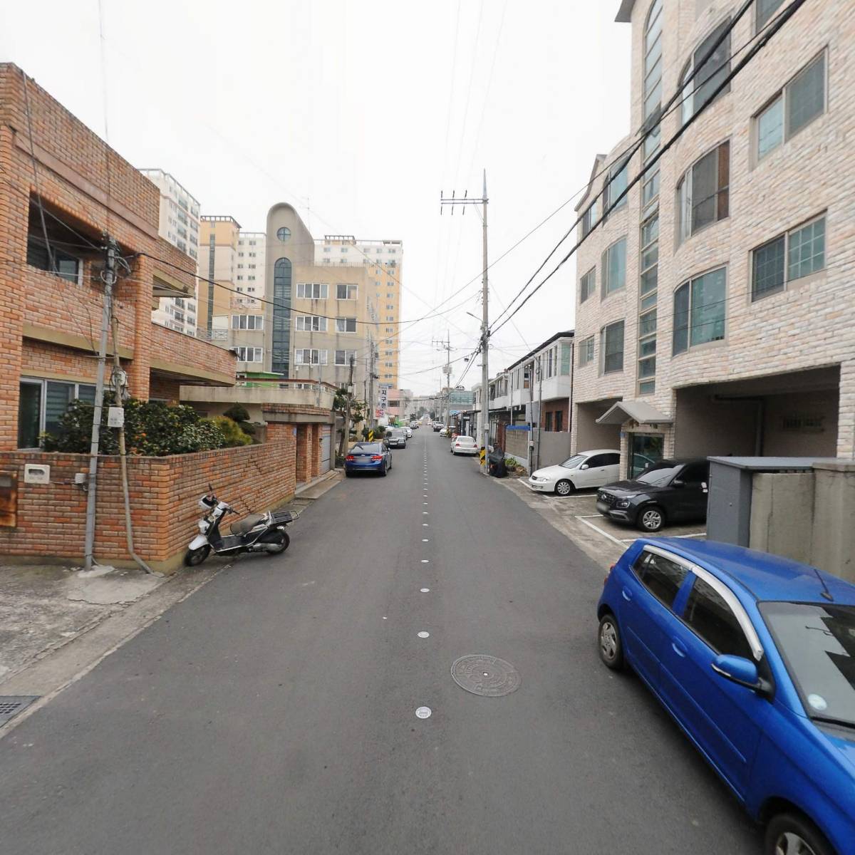 한국걸스카우트제주연맹_2