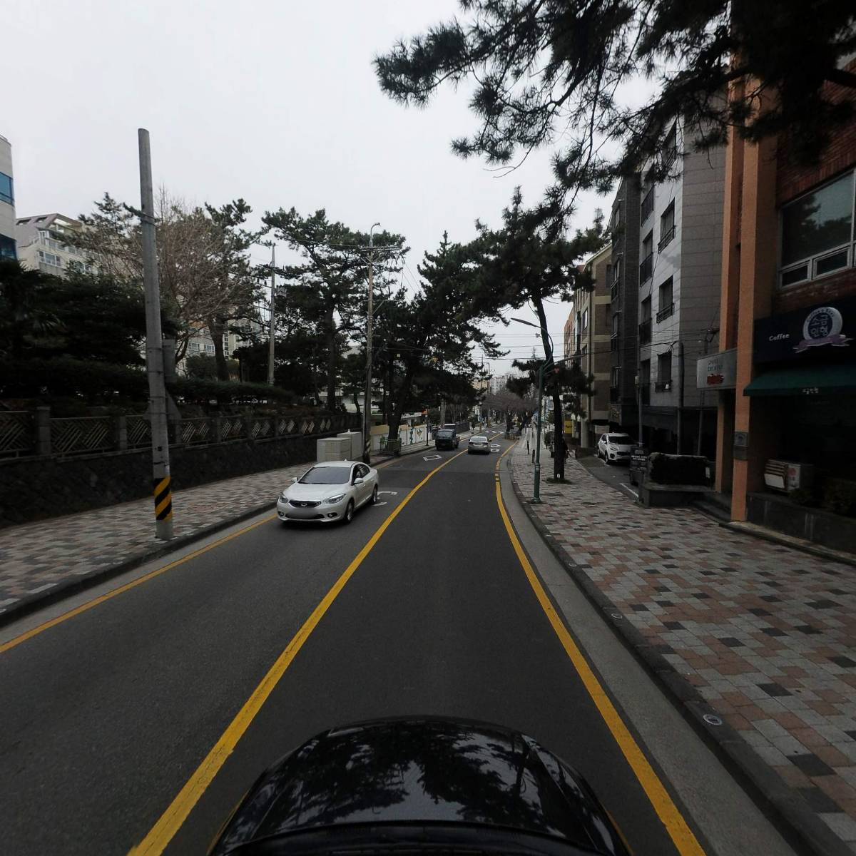 카페마체베트제주KT_4