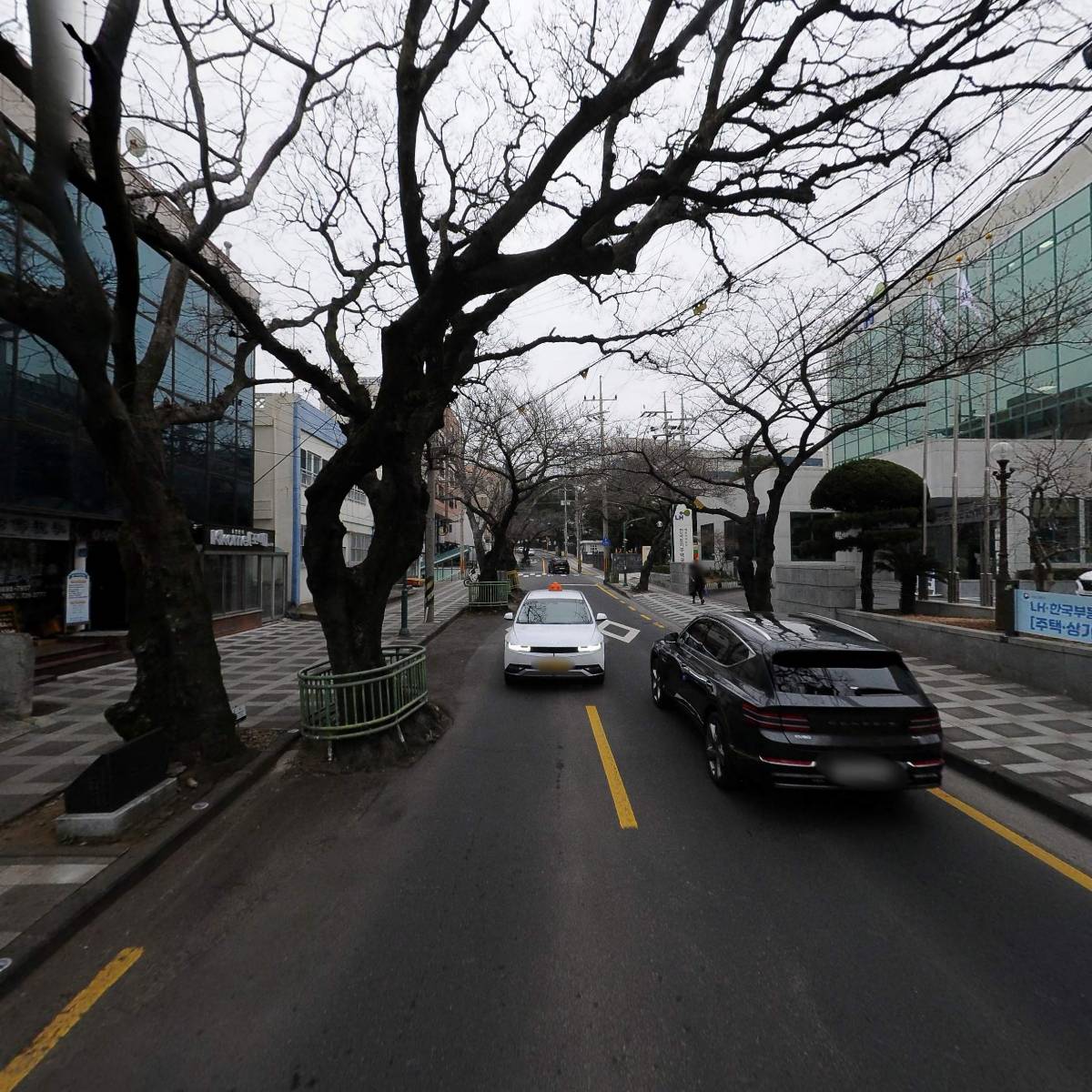 레브헤어_2