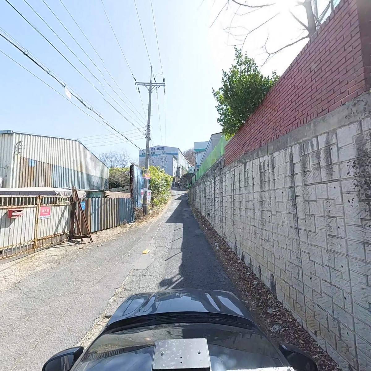 월드코리아_4