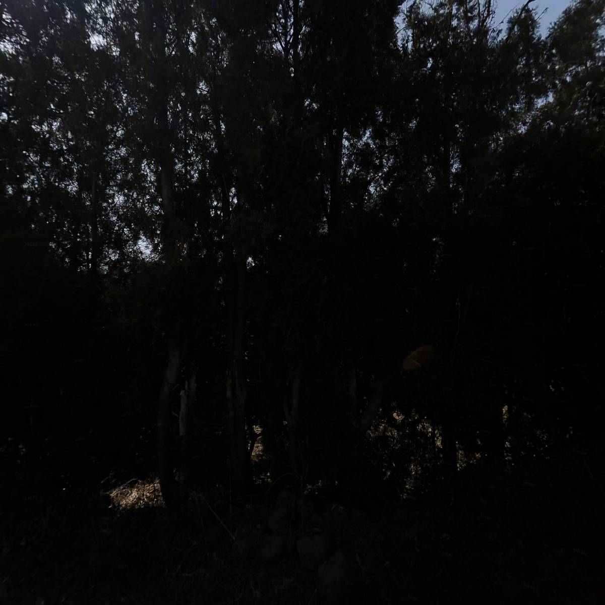 주식회사 디자인누리_3