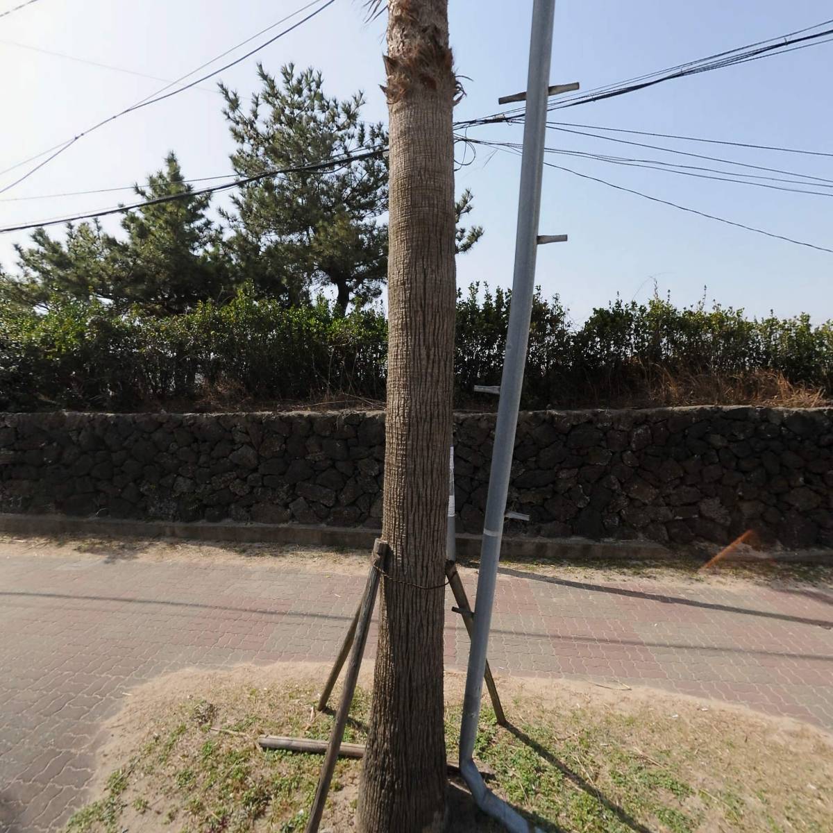 백가네제주한상