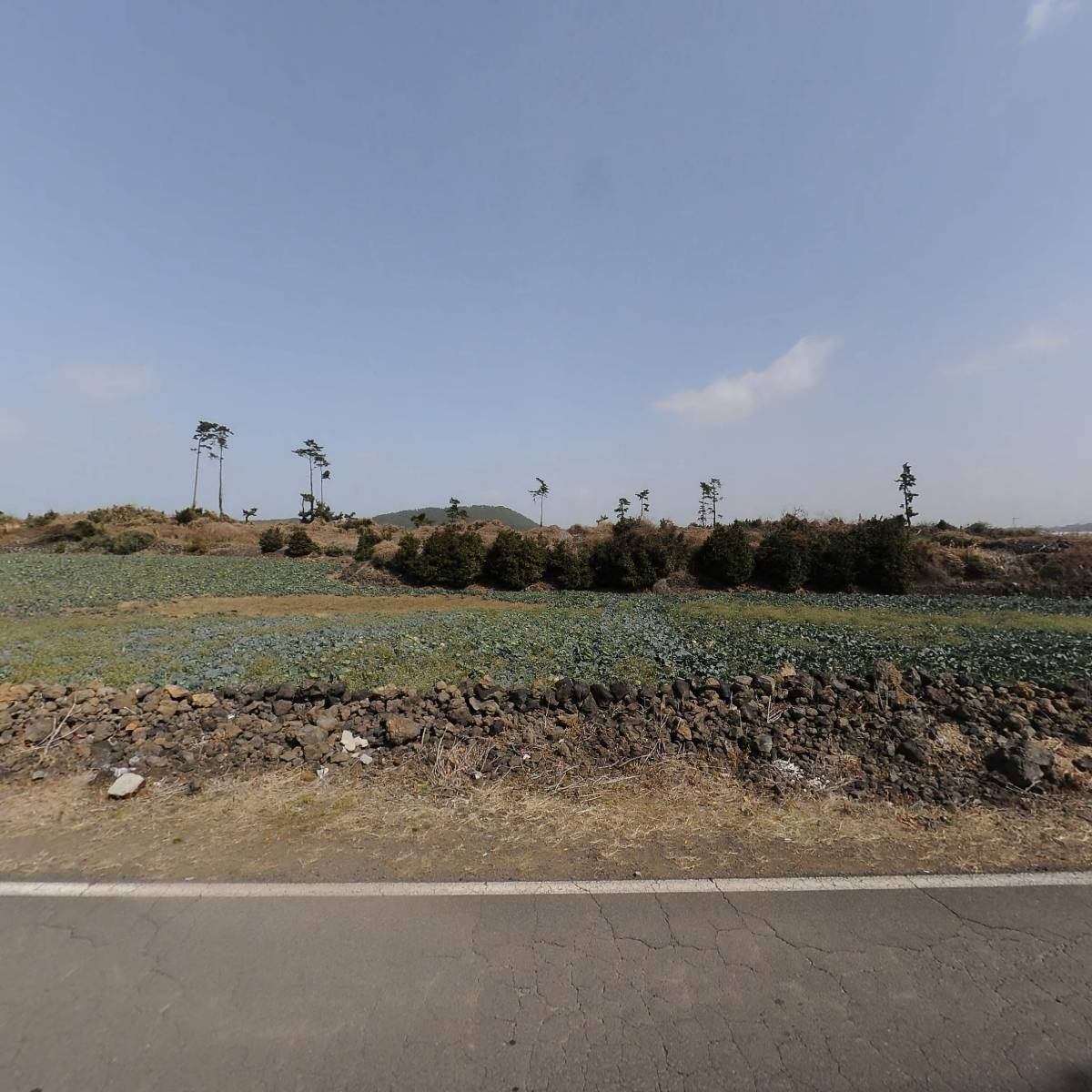 영농조합법인 탐라인_3