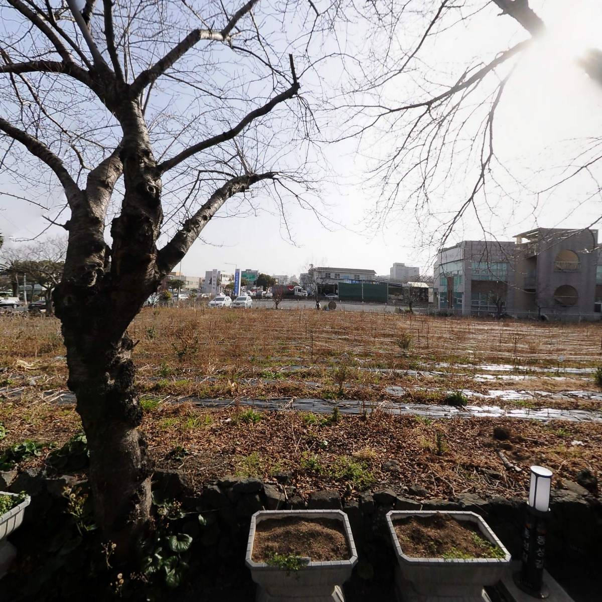 리웨이코리아(유)