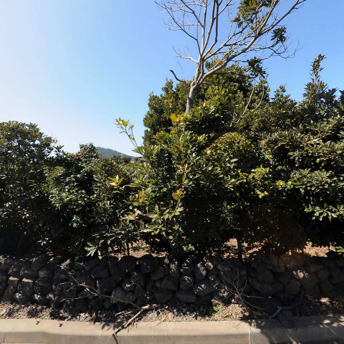 주식회사 지티엑스