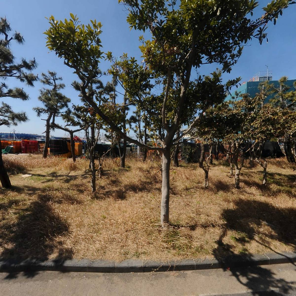 모슬포수산시장
