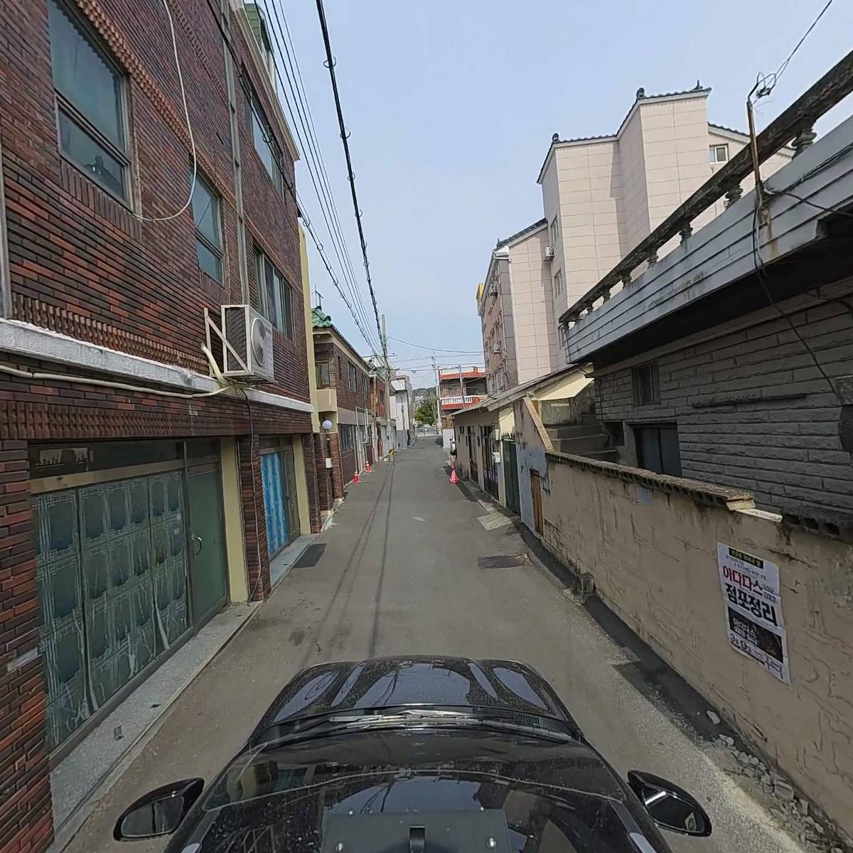 산호어패럴_4