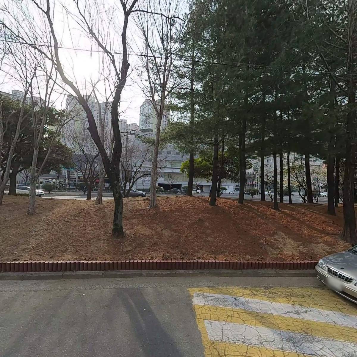 쿠킹아트 즐거운 교육_3