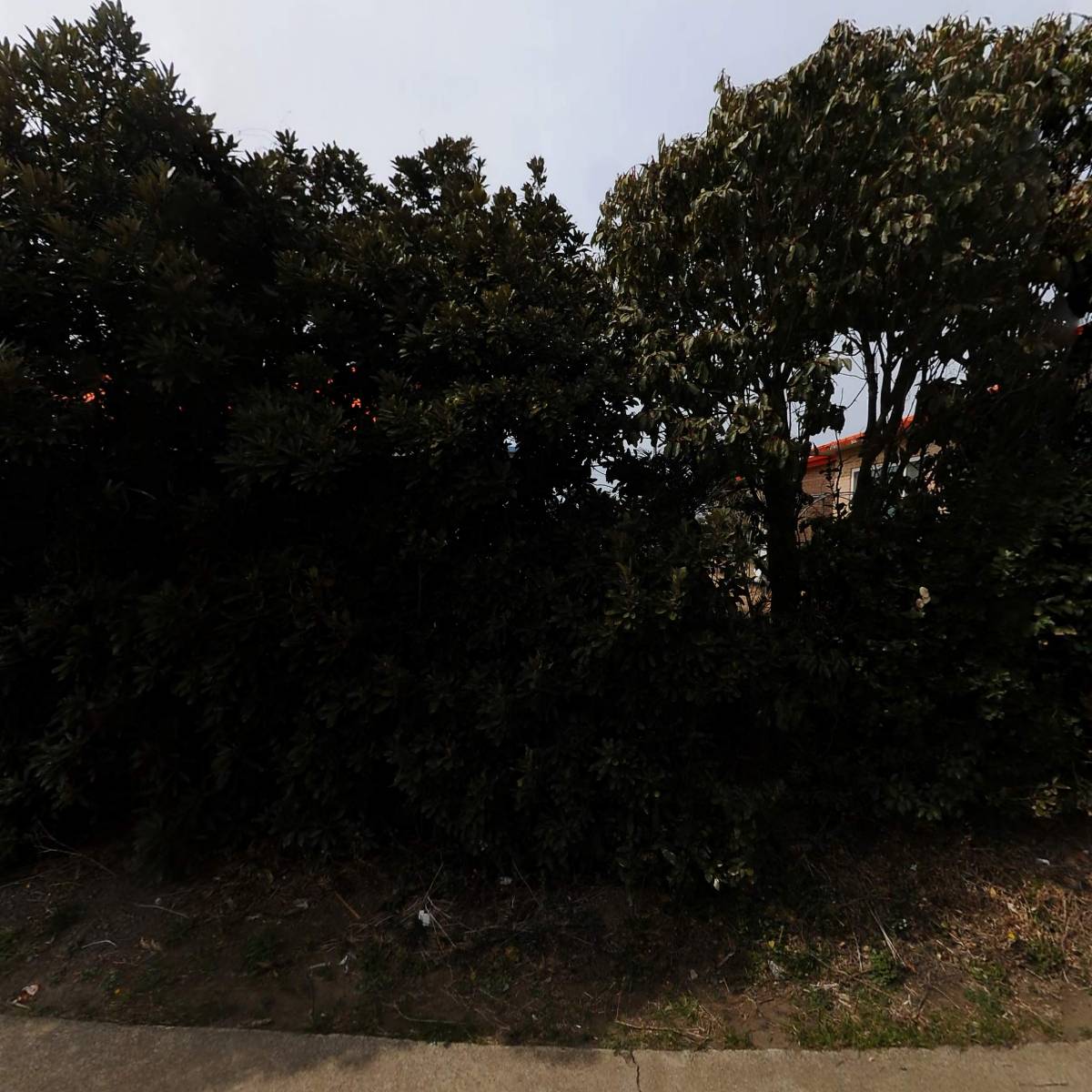 농업회사법인주식회사알뜨르_3