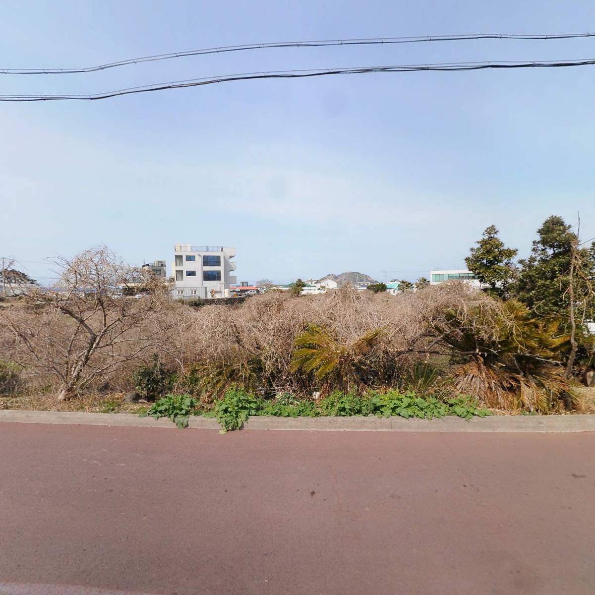 제주담스파빌
