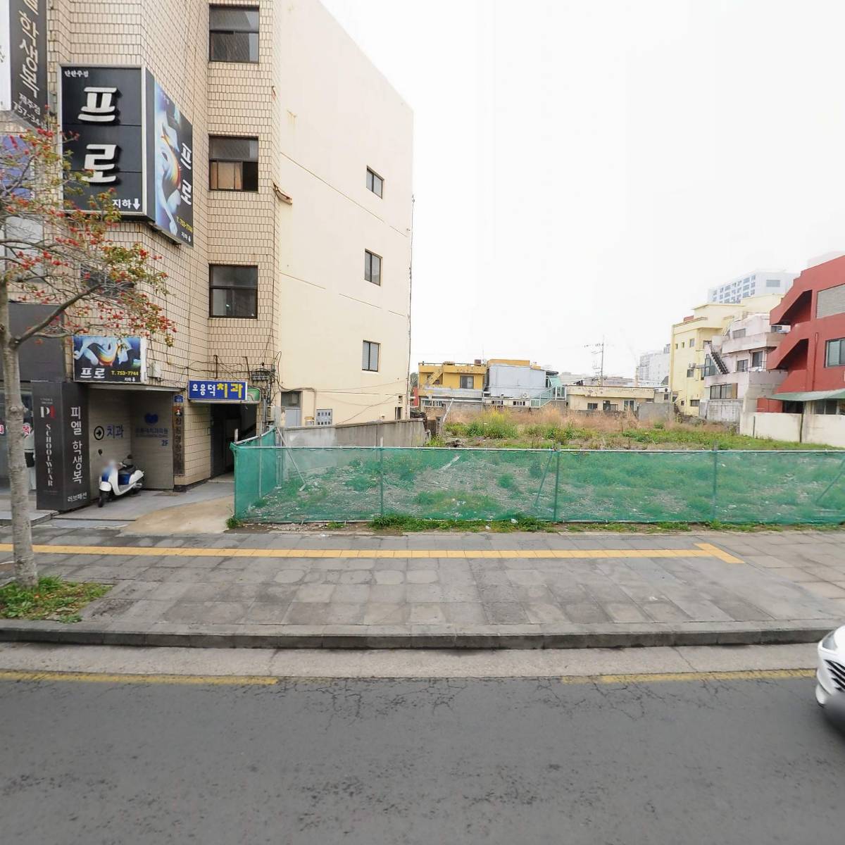 제주 애 퐁당