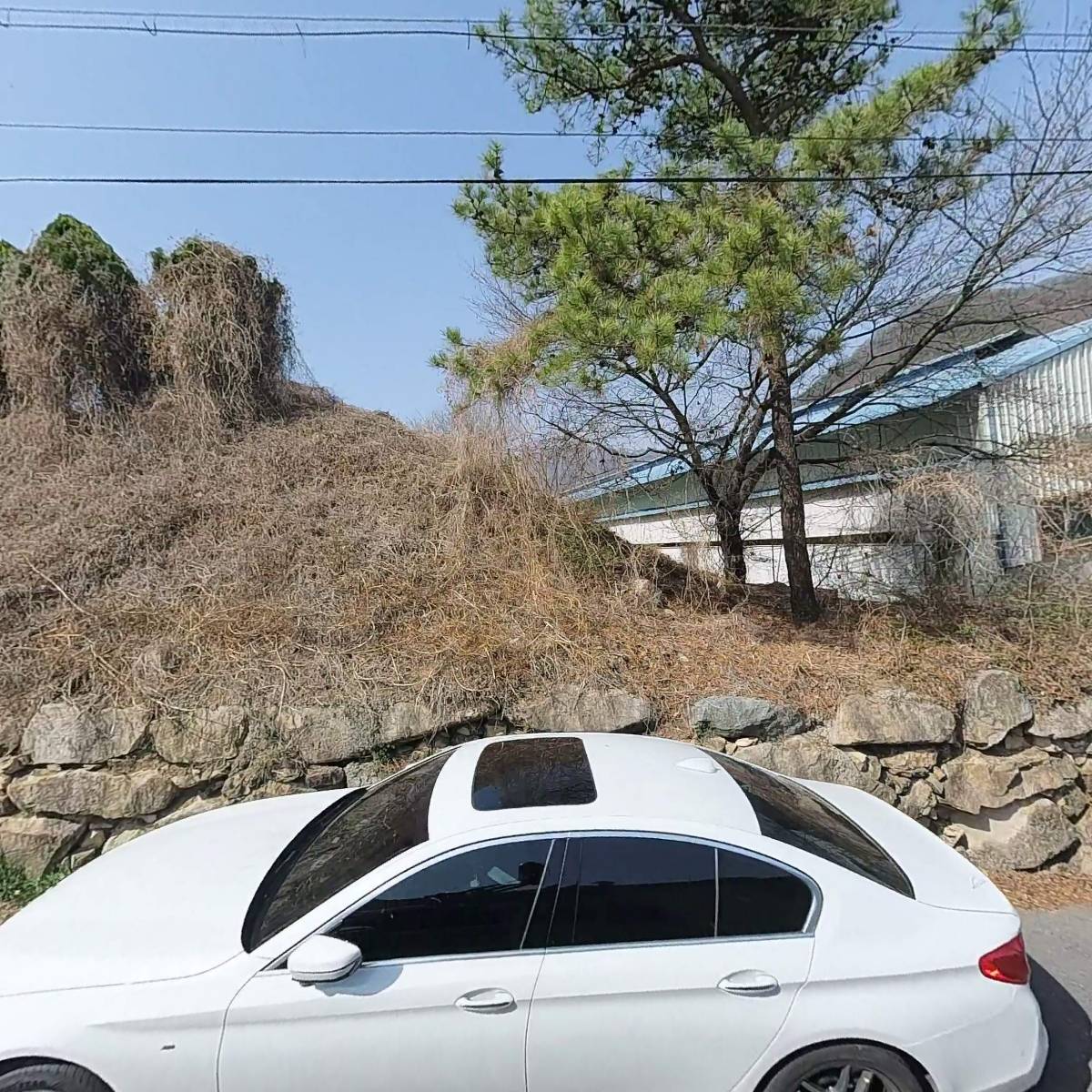 대원디에스(주)